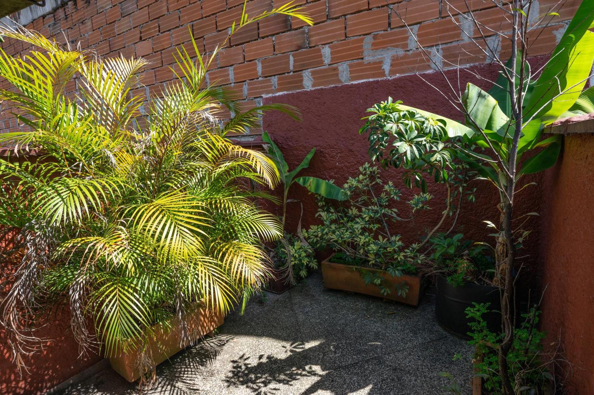 Oasis En El Corazon De Medellin, Laureles Appartement Buitenkant foto